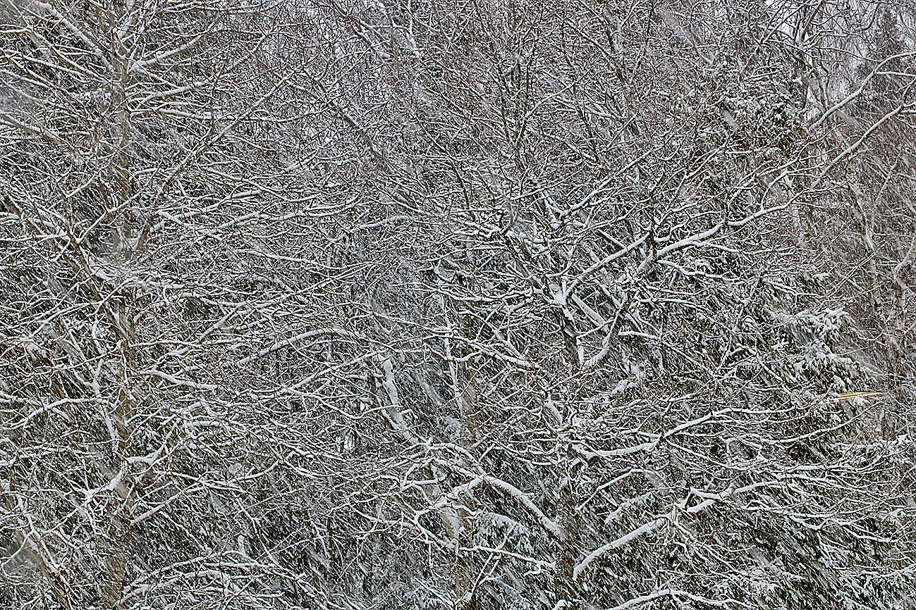 Sonnenuntergang im Winter