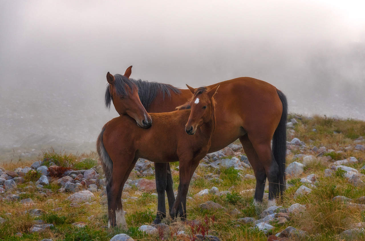 Zärtlichkeit der Natur
