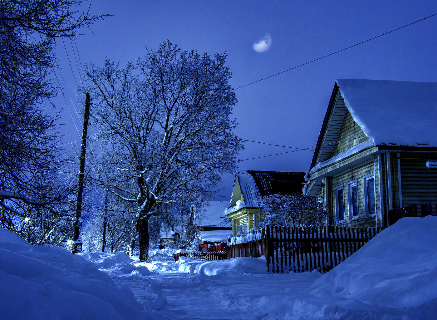 Winter Night