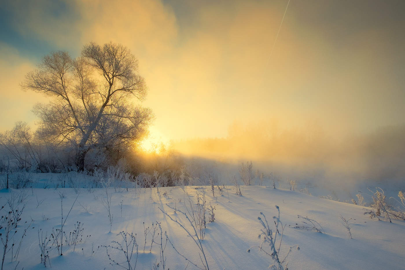 frostigen Morgengrauen