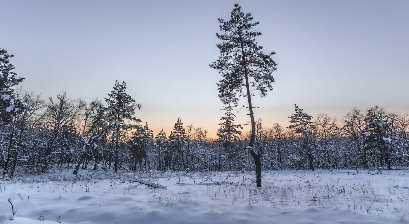 Winterabend.