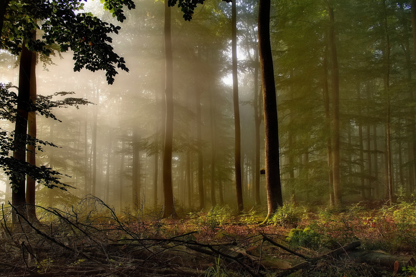 Mit den ersten Strahlen