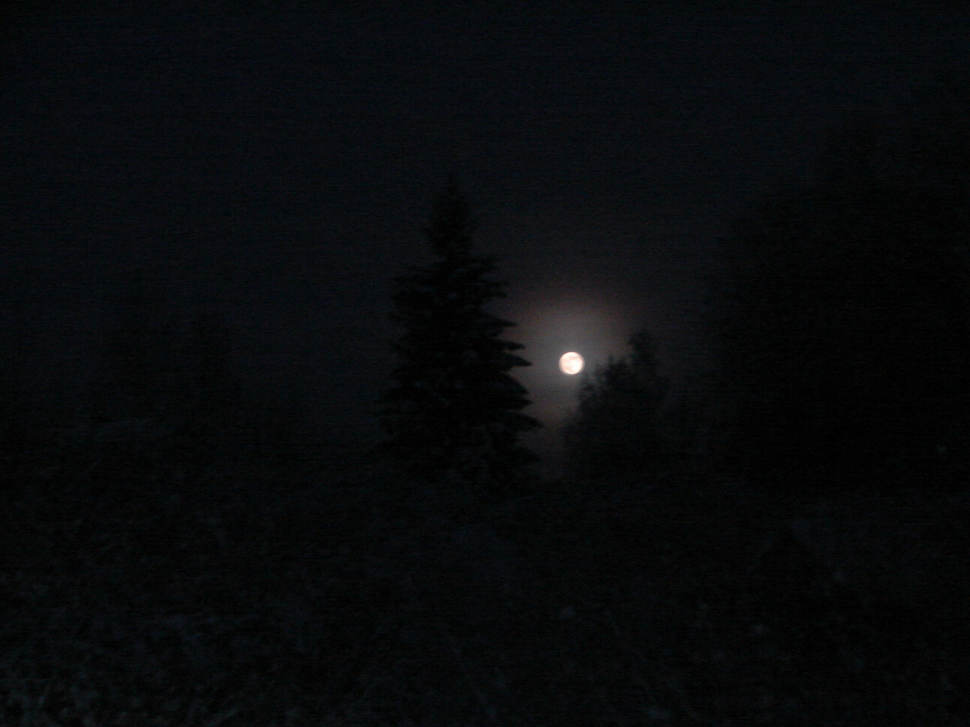 Die Nacht vor Weihnachten