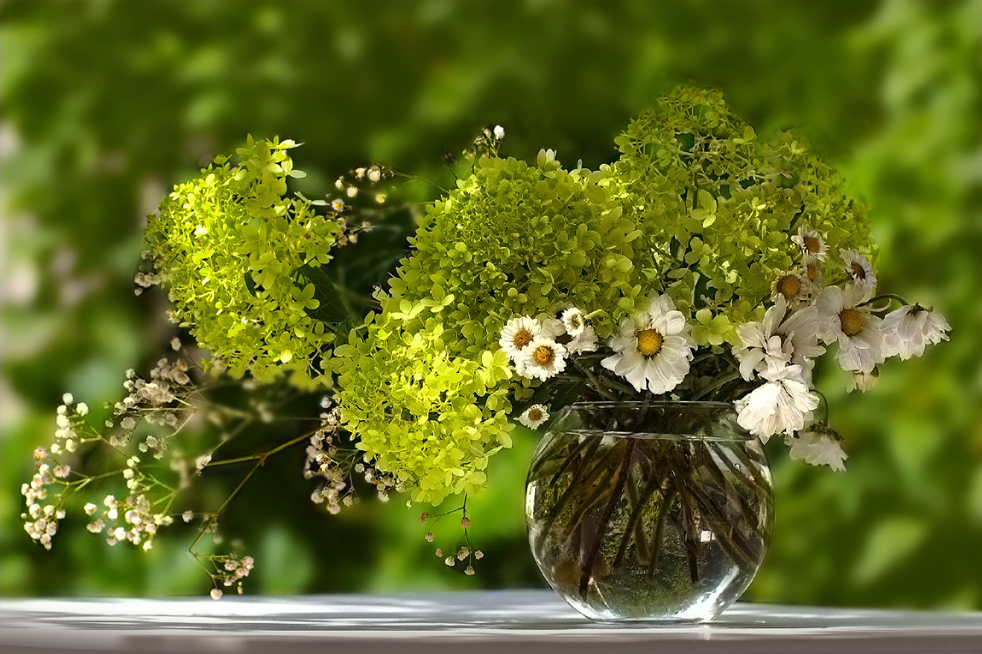 50 Schattierungen von Grün