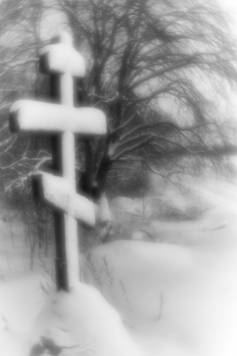 Überqueren Sie die Straße