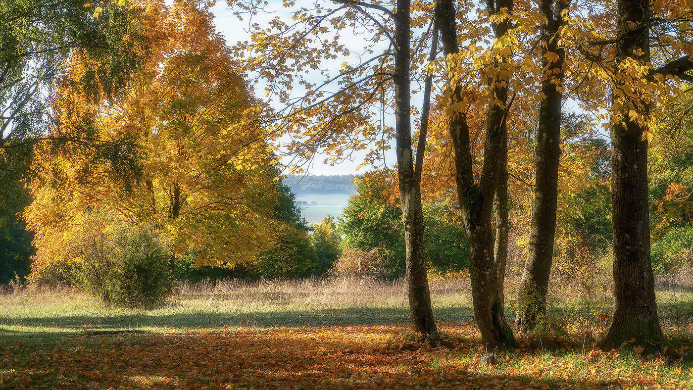 Rendezvous mit dem Fall