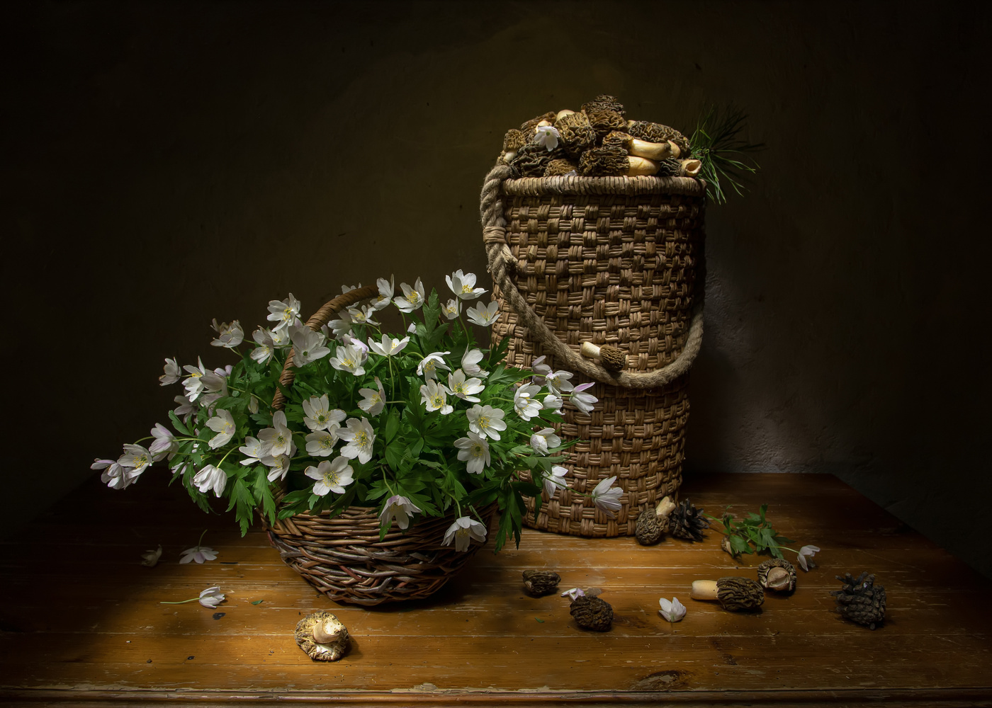 Der Frühling kommt ...