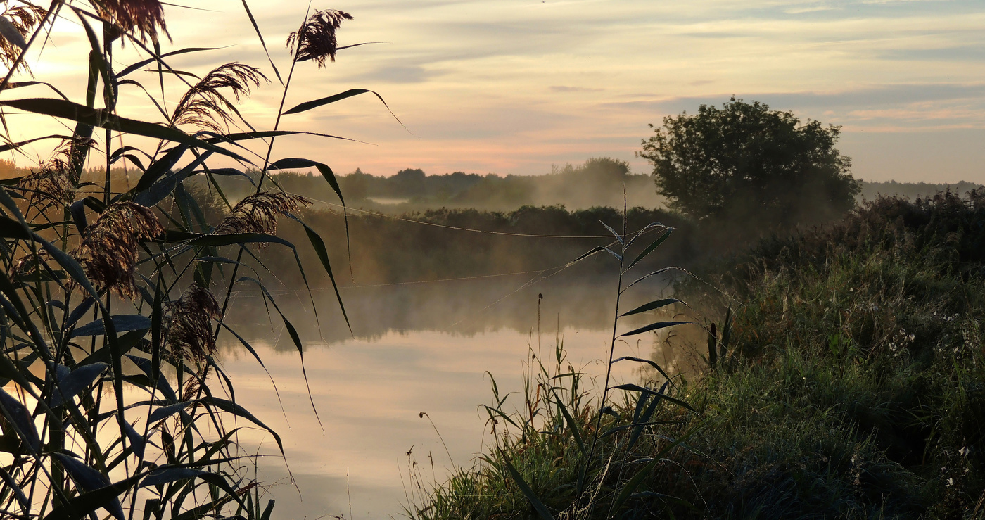 Morgen auf dem Fluss