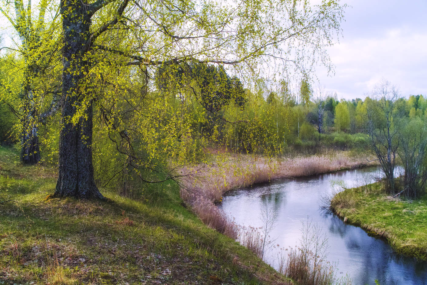 Morgen Farben sanften Licht ...