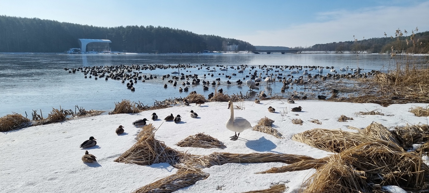 In Erwartung des Frühlings ...