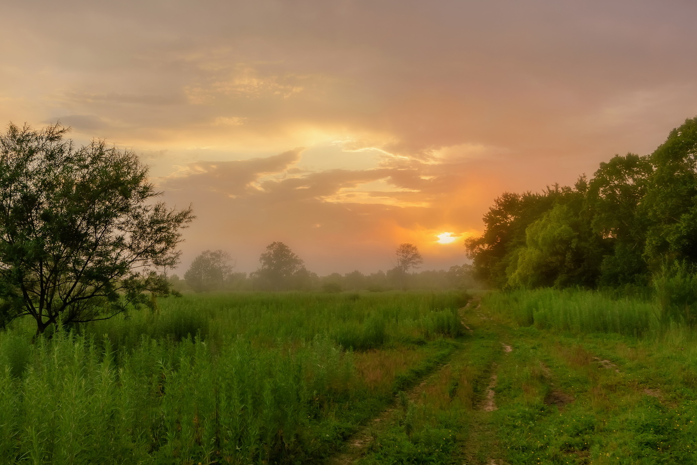 Foggy Sonnenuntergang
