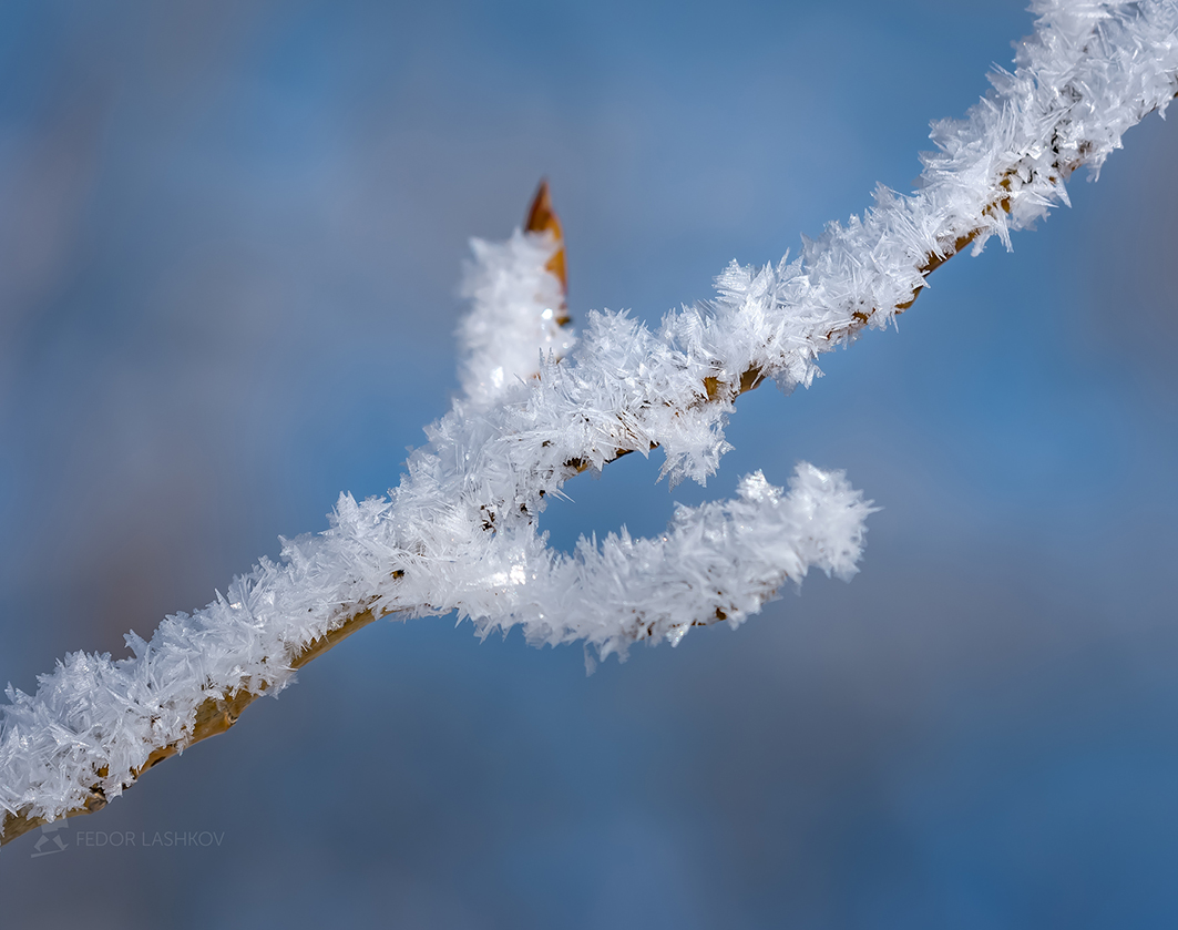 Warten auf den Frühling