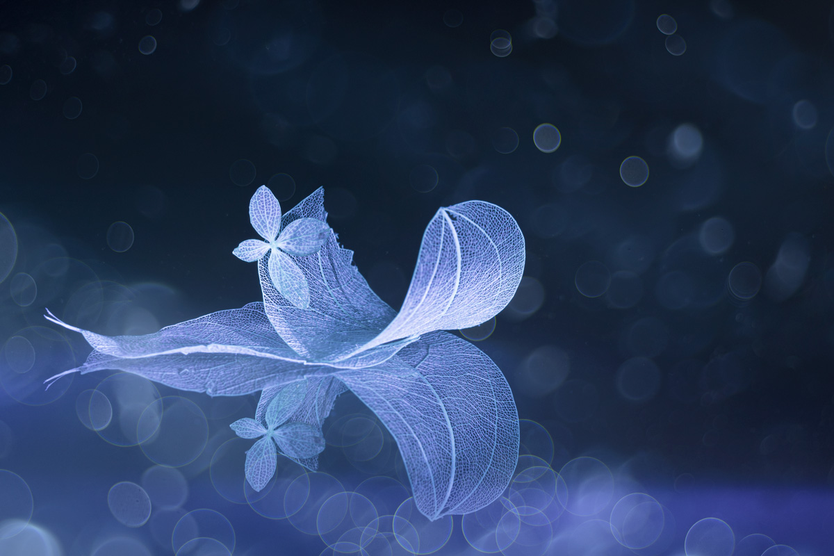 In the Valley of Oblivion