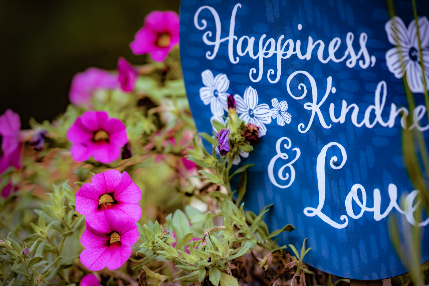 Happiness, Kindness, Love