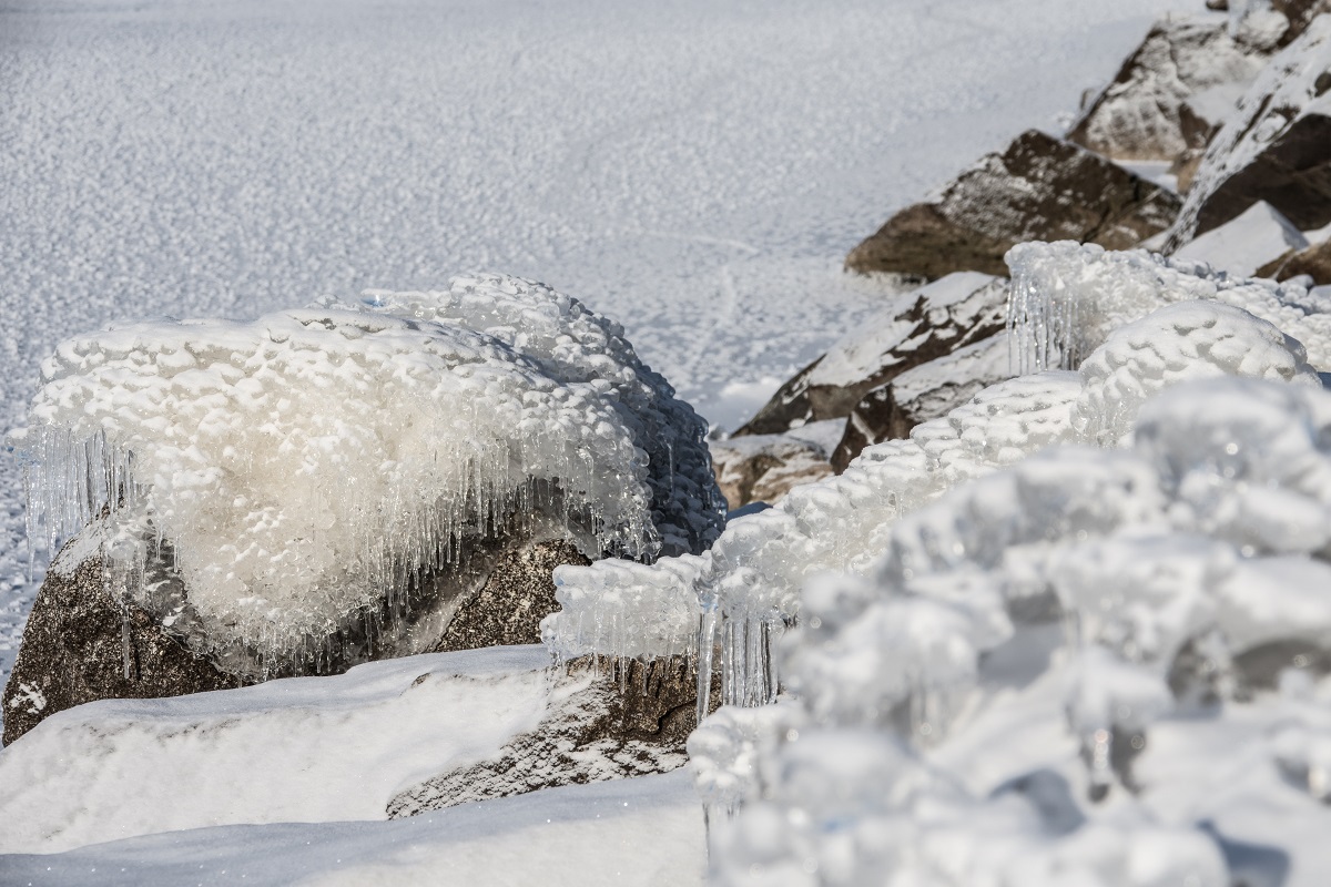 An der Frühlingssonne