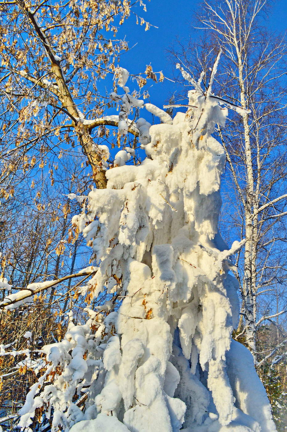 So groß ist wie das Leben