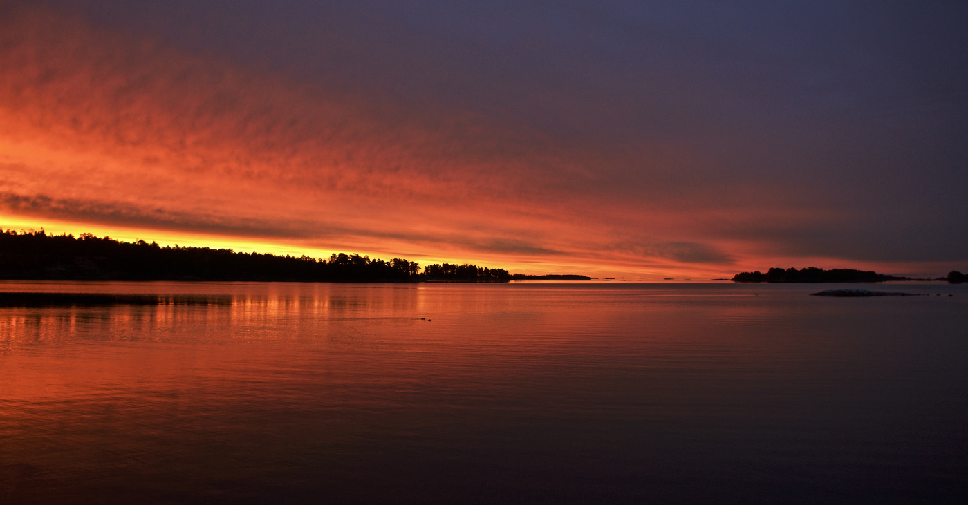 Herbst Morgendämmerung