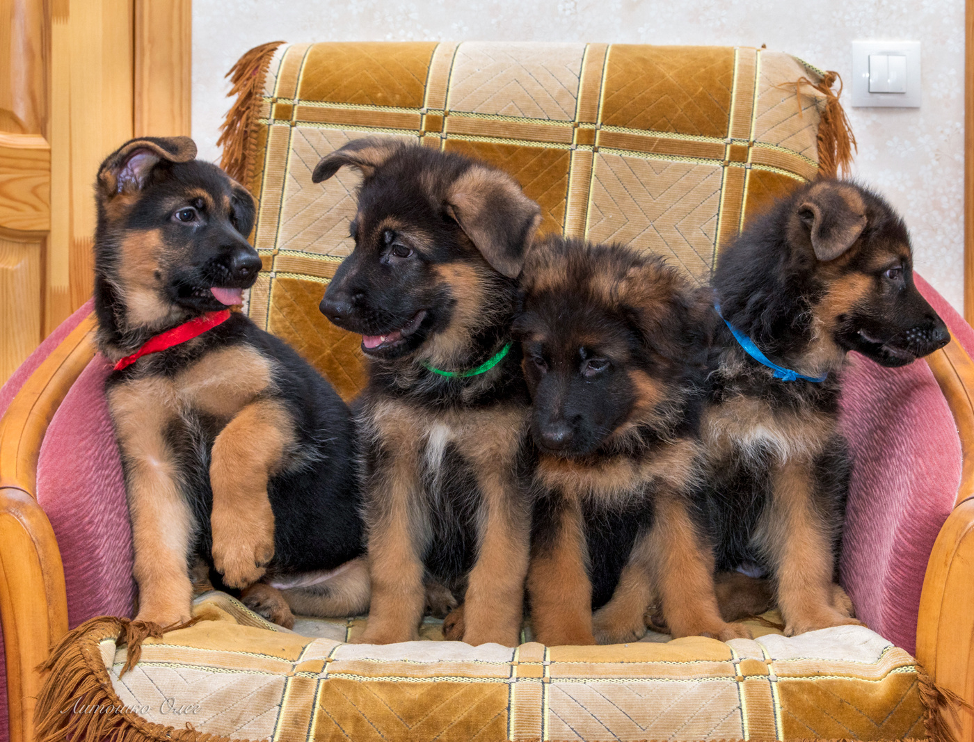 Fröhliche Gesellschaft.