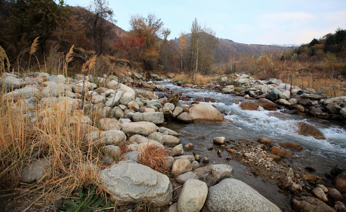 In Erinnerung an die Herbst