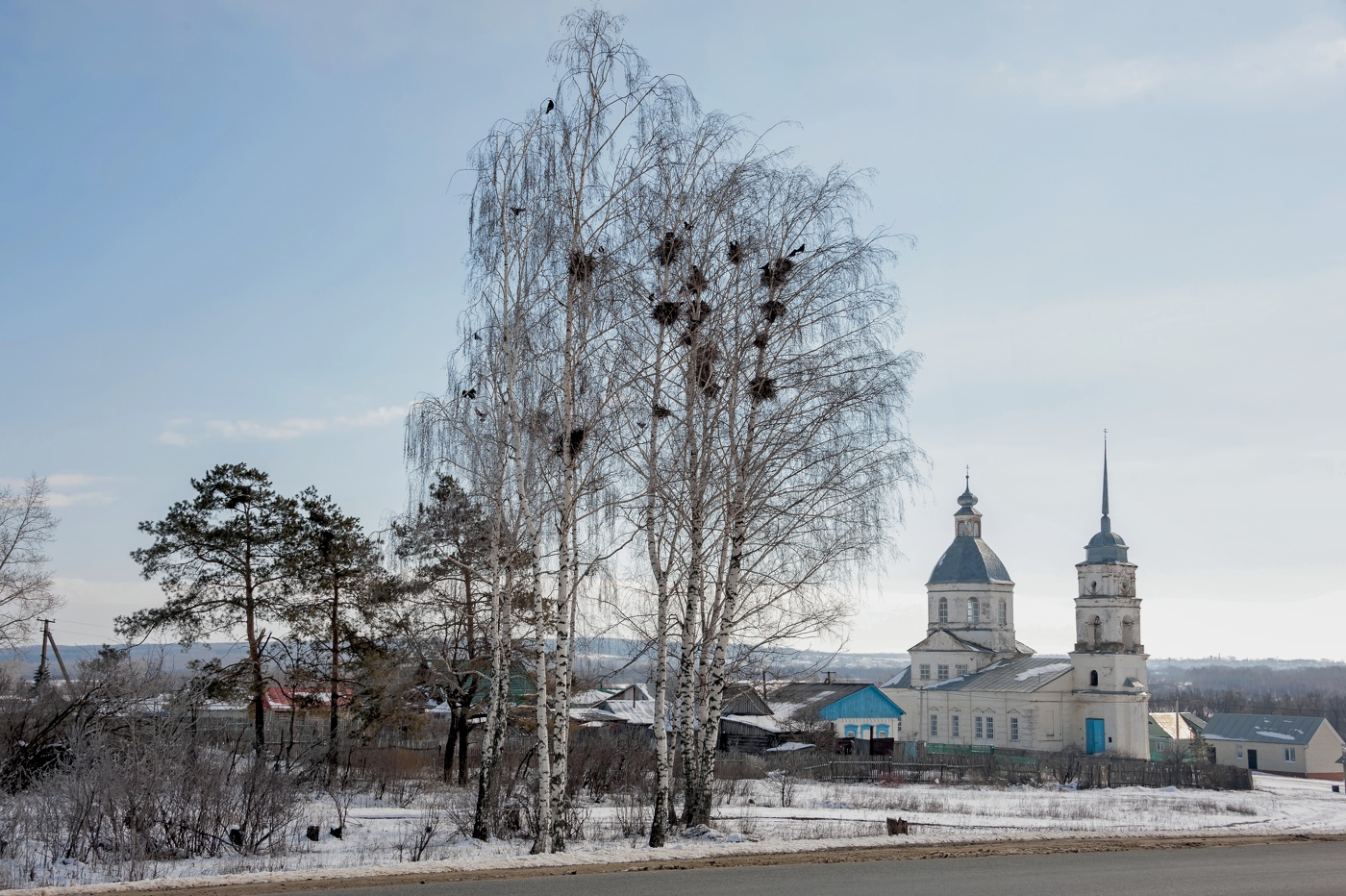 Die Saatkrähen sind angekommen