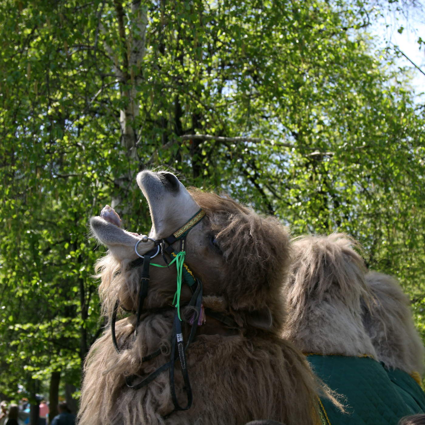 Der Frühling ist gekommen