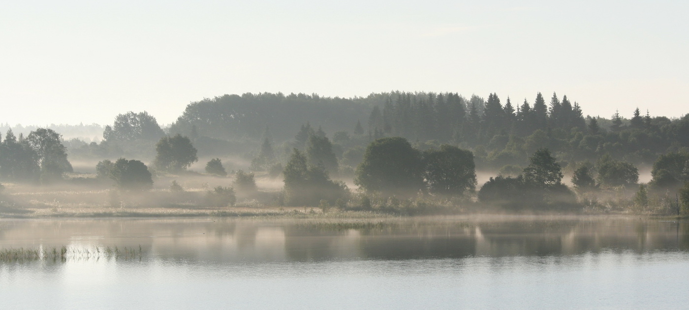 Morgen auf dem Fluss