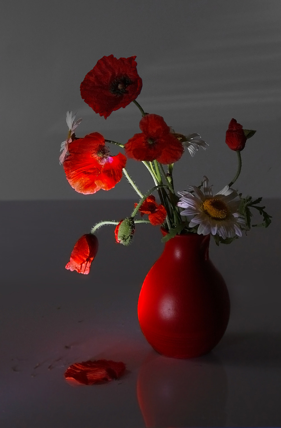 Morgen Farben sanften Licht ...