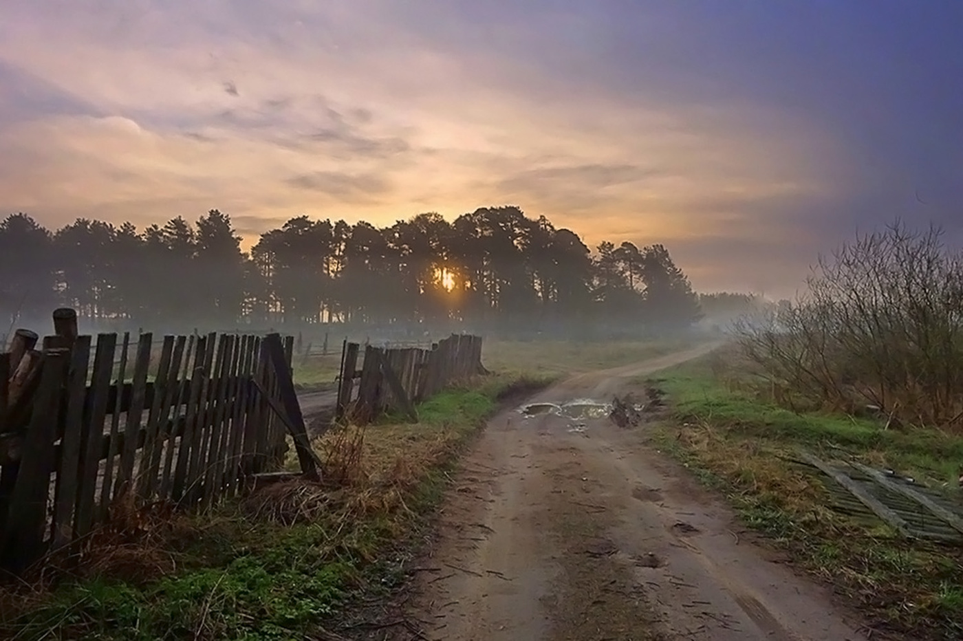 Frühling Morgendämmerung