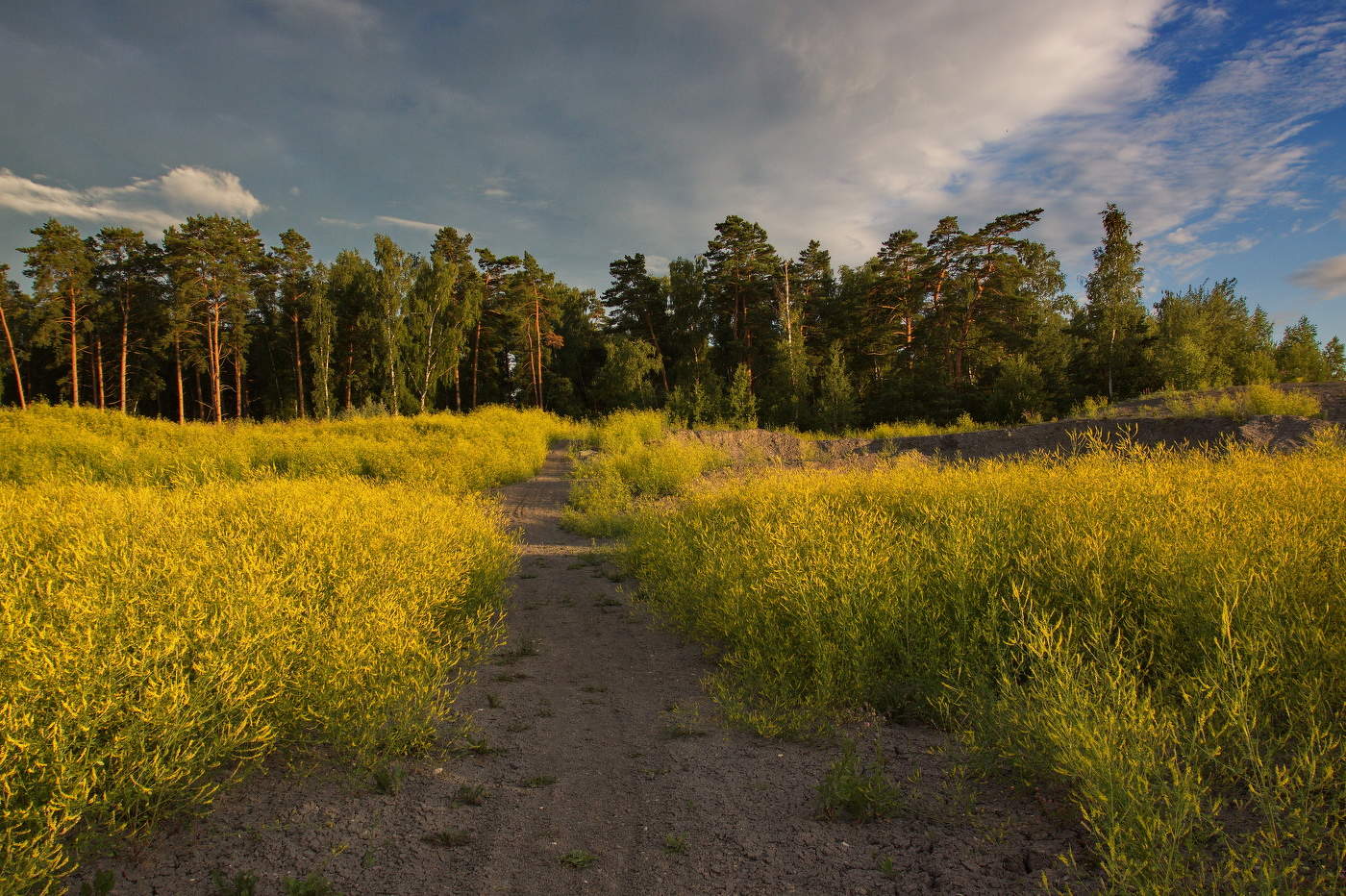 in der Nähe von Moskau am Abend