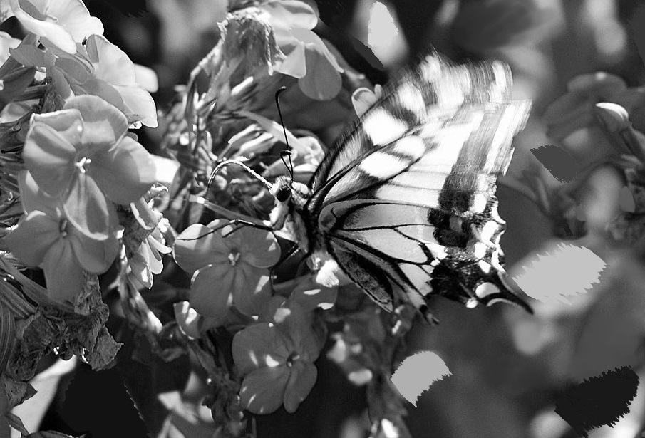 In gewisser Weise ...