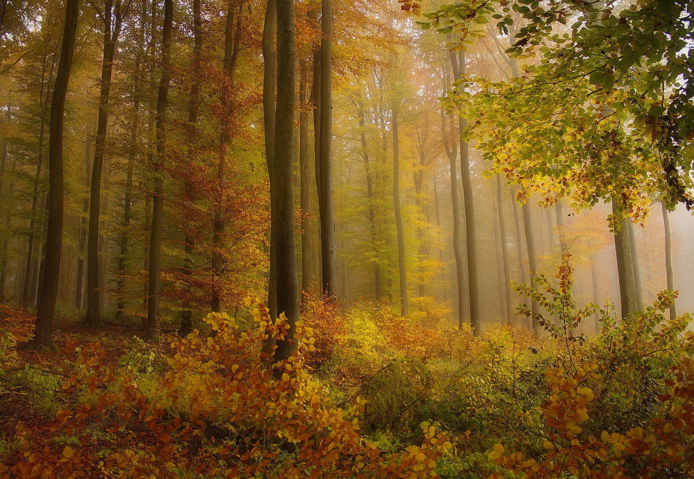 Die Palette des Herbstes