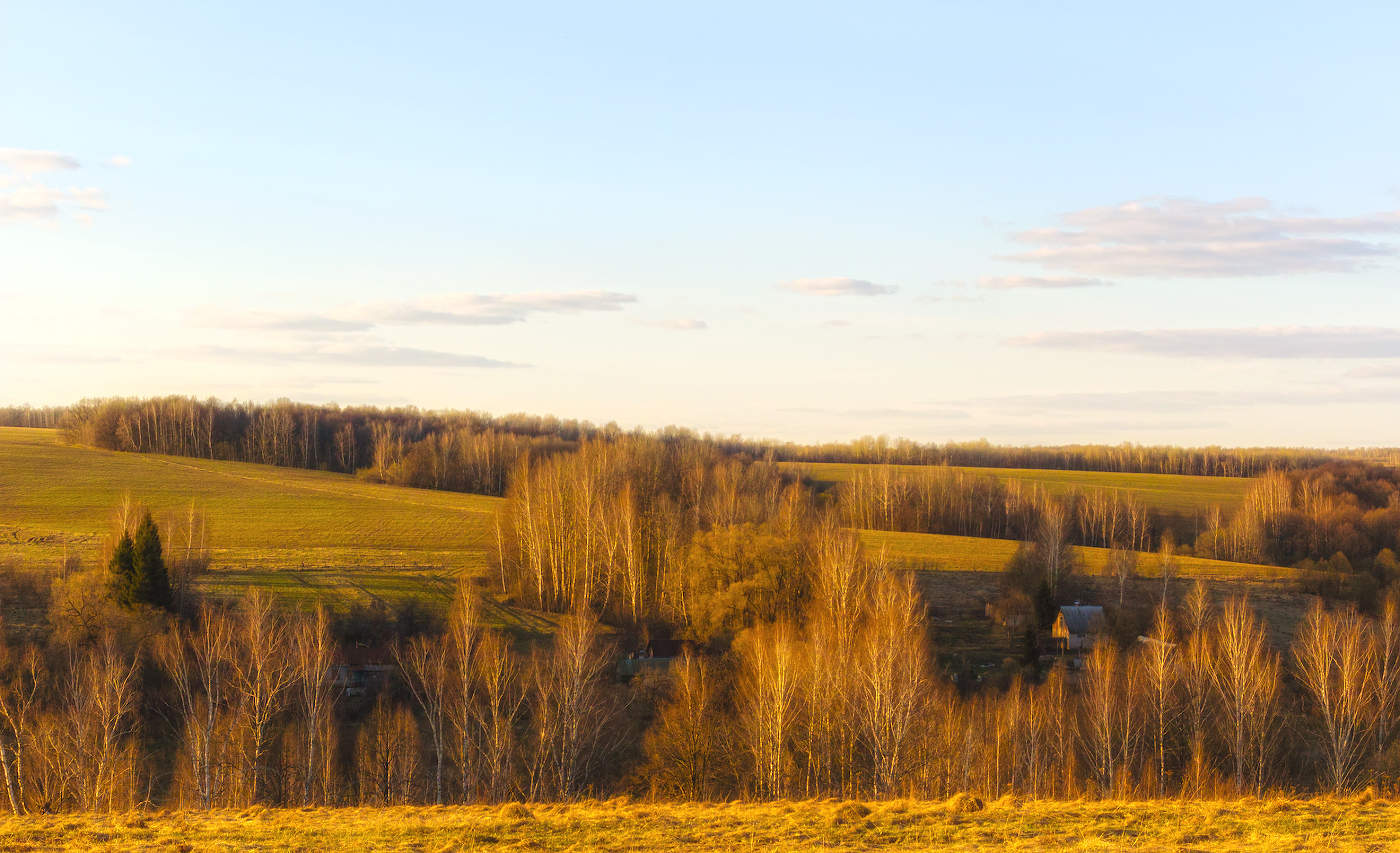 Premonition des Frühlings
