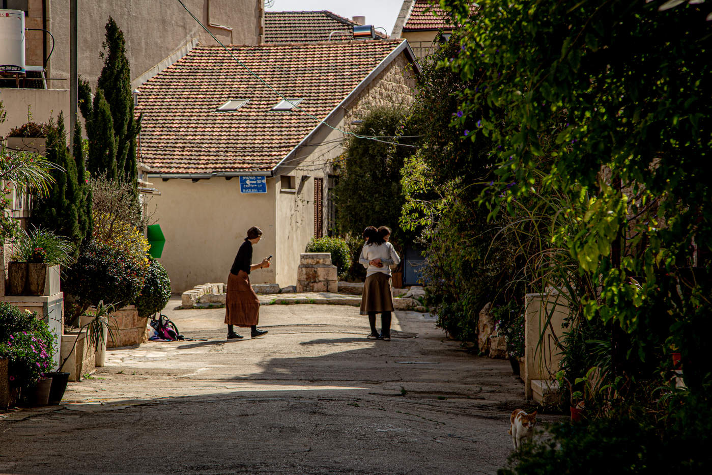 Jerusalem Courtyard