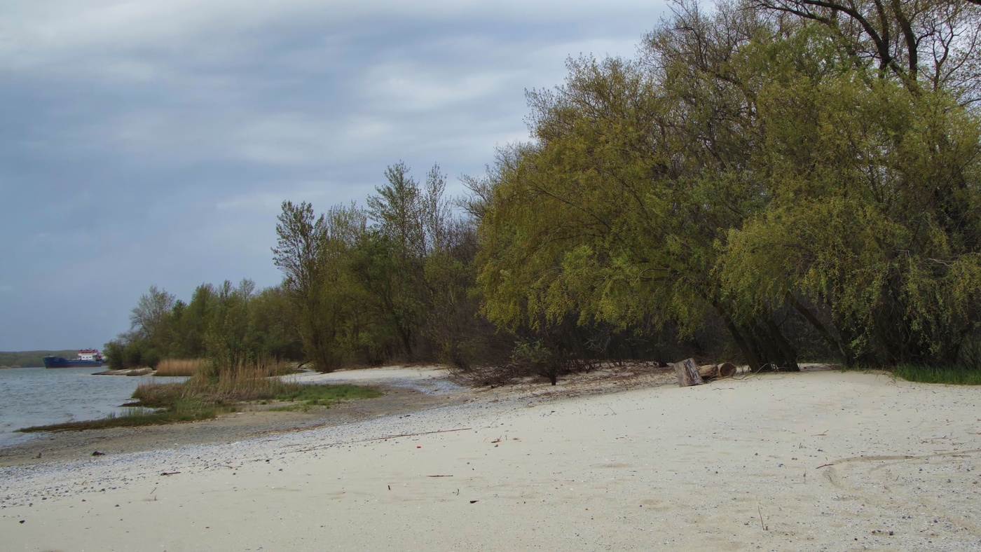 Der Morgen des neuen Tages