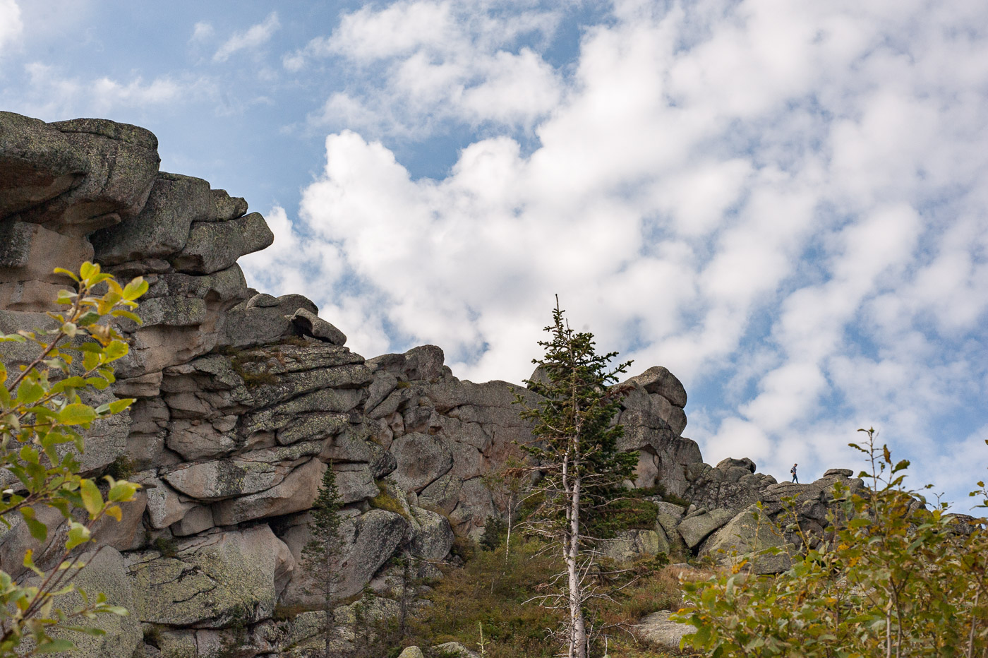 Unter dem blauen Himmel