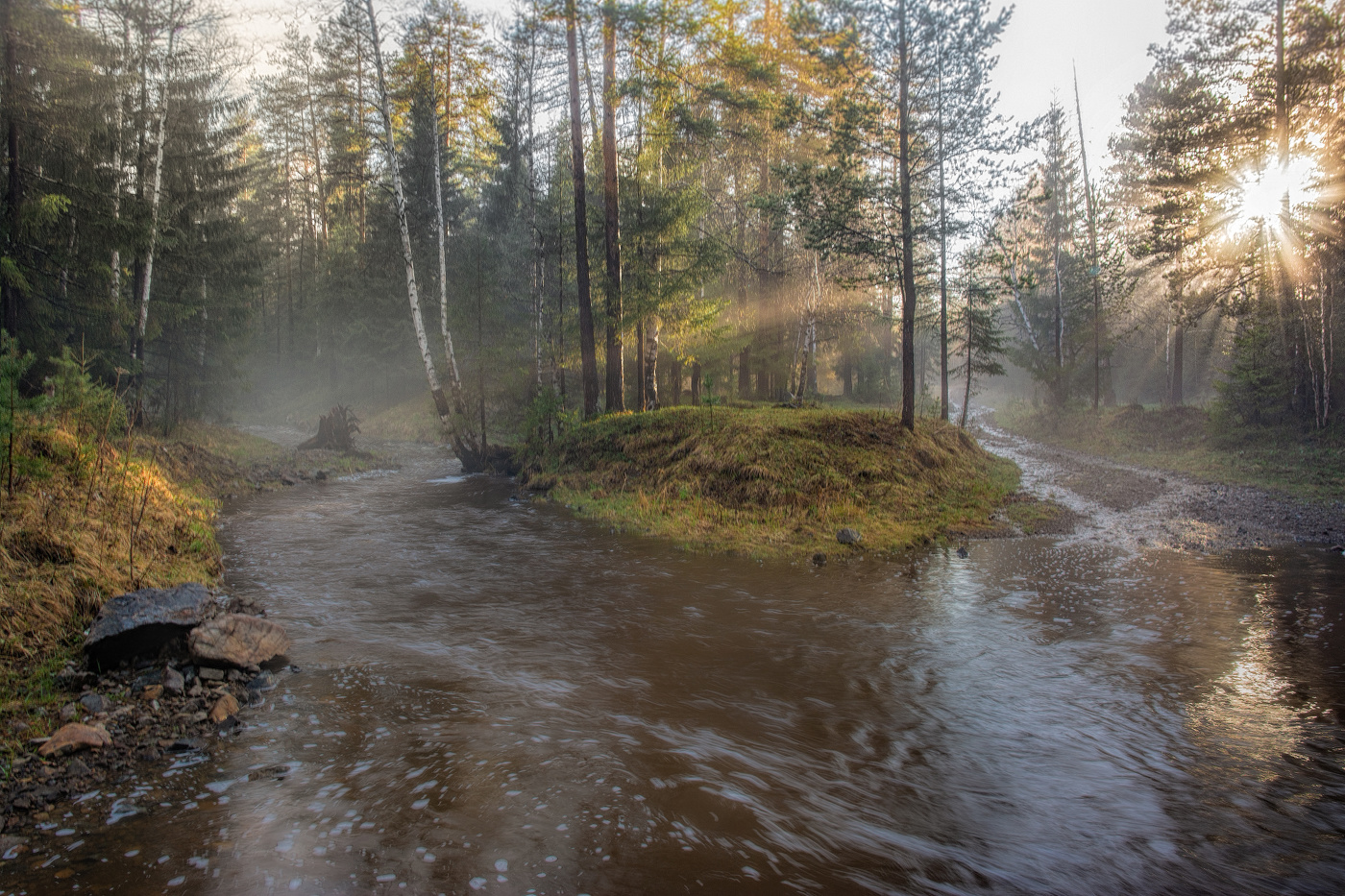 Der Abend nach dem regen