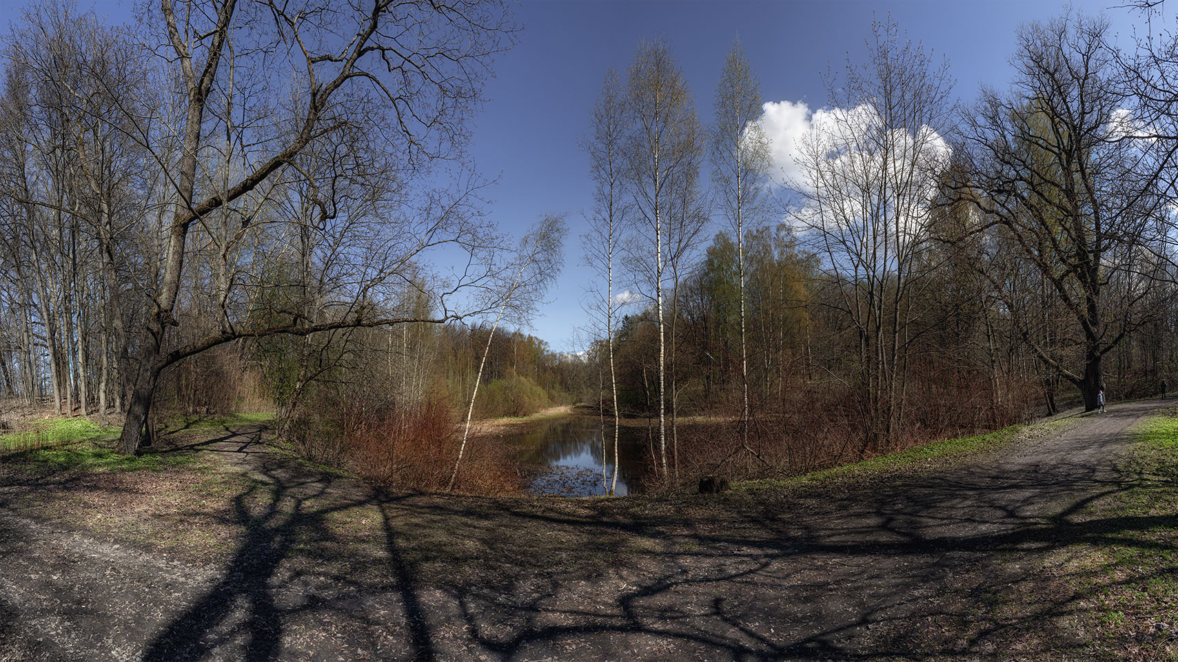 Schatten am Mittag ...