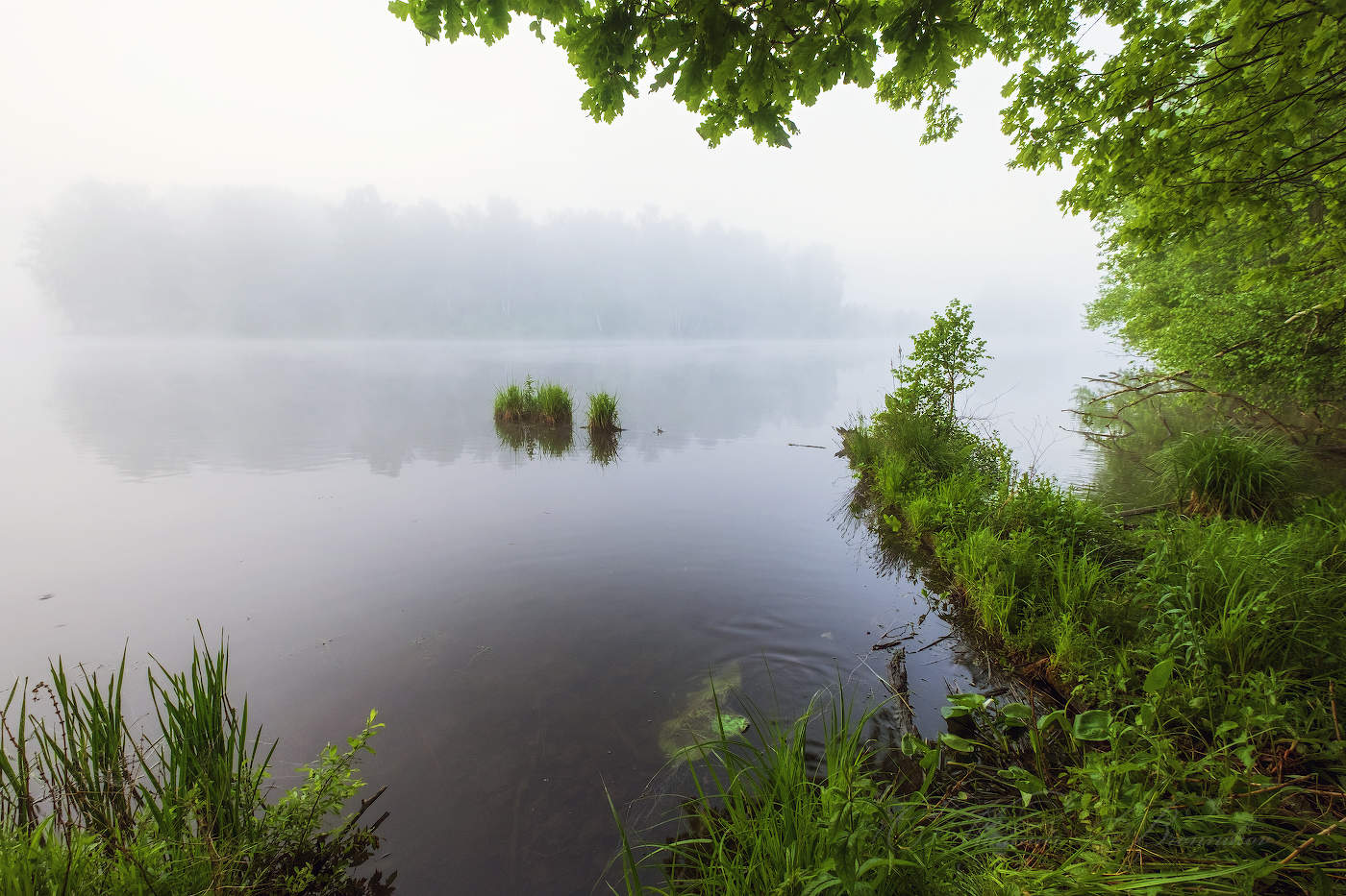 Auf der Morgendämmerung
