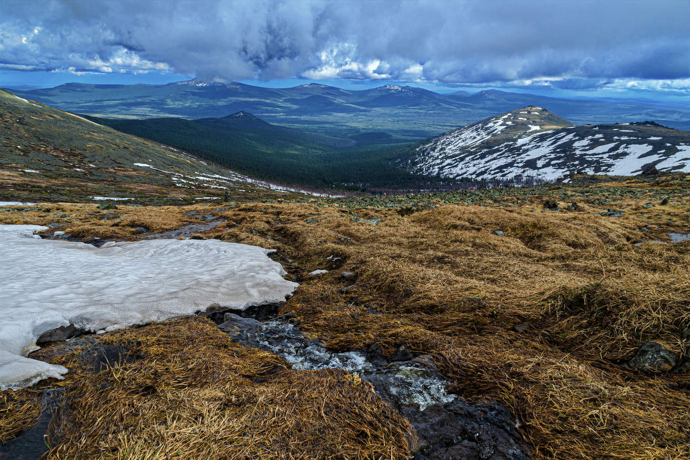 Der Hauch von Frühling.