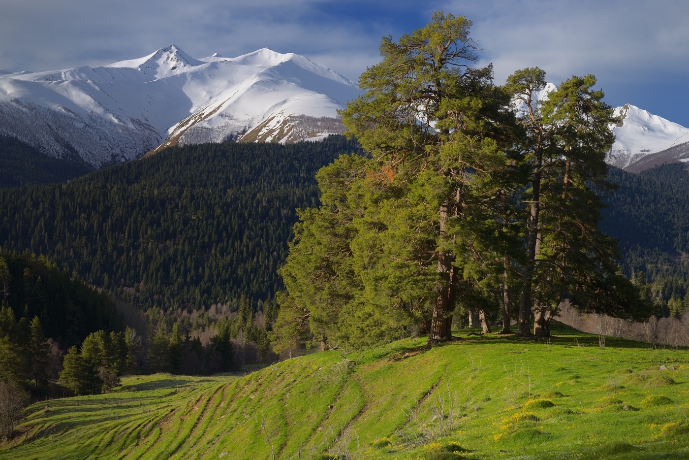 Sonnenuntergang in den Bergen