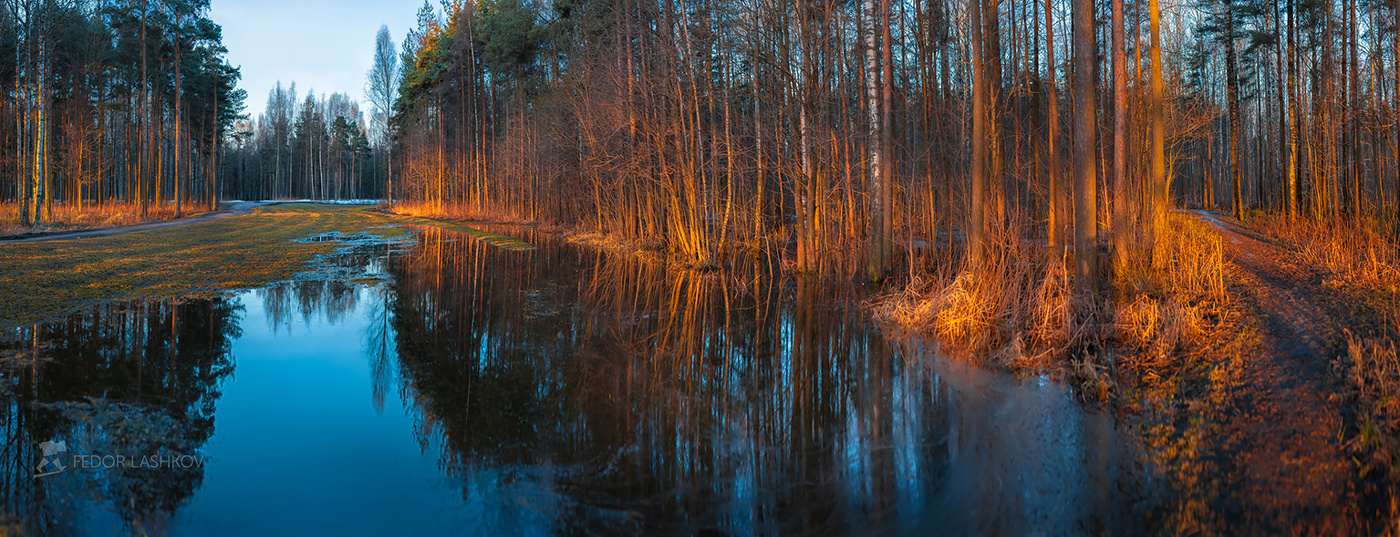 Licht eines neuen Tages