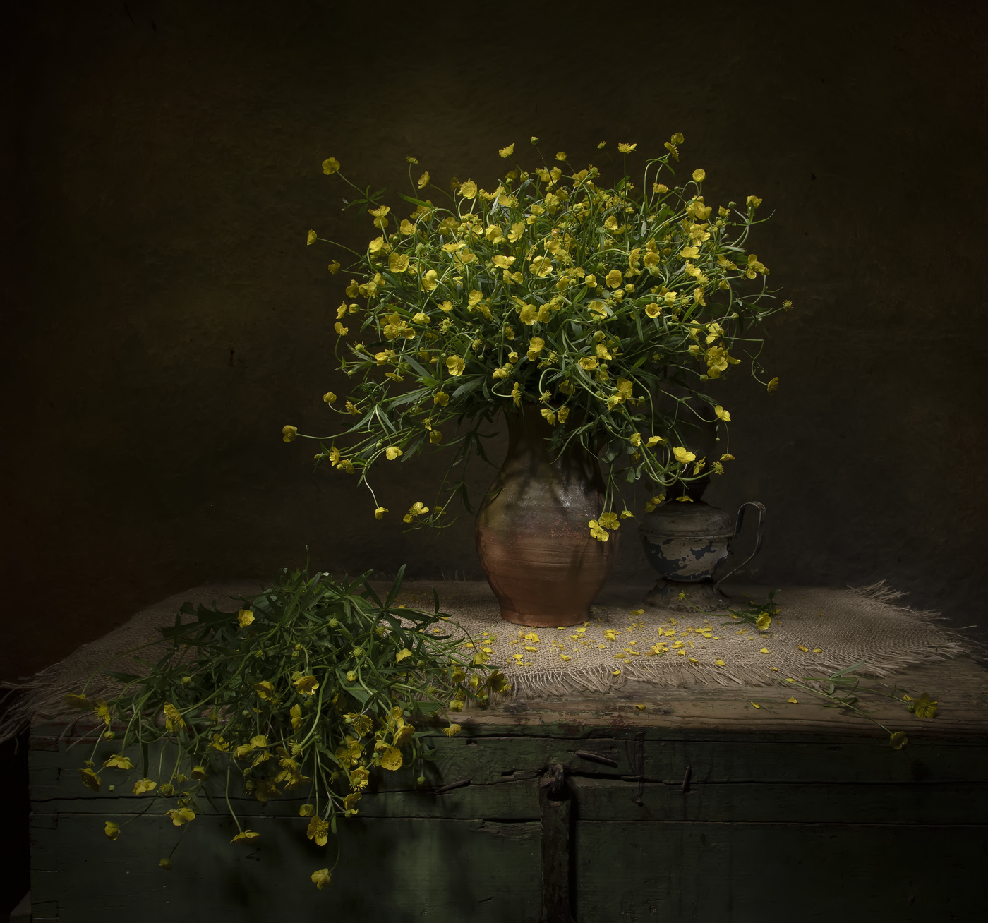 Butterblumen-Blüten