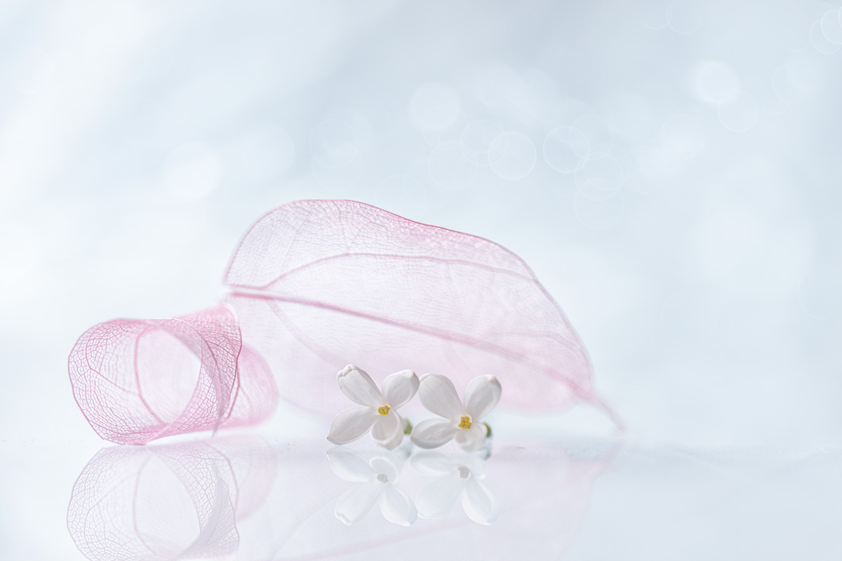 May fantasy with lilac