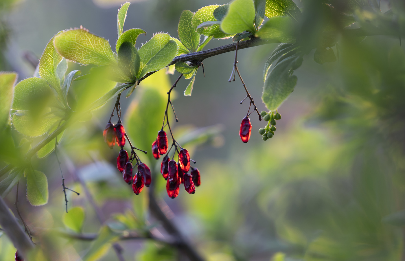 Zwischen Vergangenheit und Zukunft