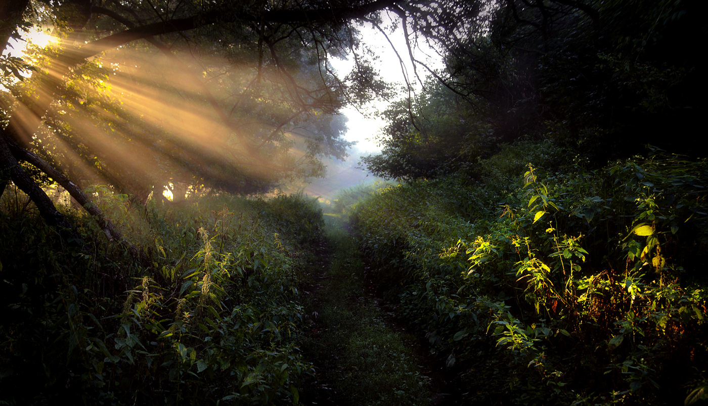 in das Licht der Morgenröte ...