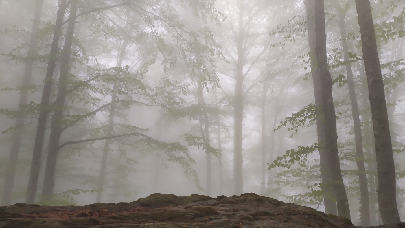 Es gibt Wunder draußen wandernde Goblin ...