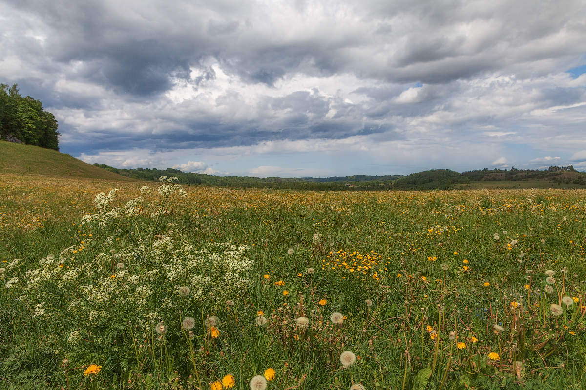 Letzter Tag im Mai ...