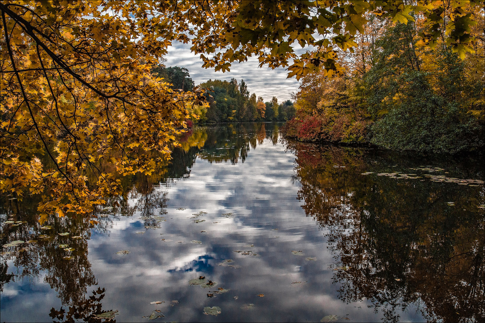 තවම සරත් සමය නොවේ...