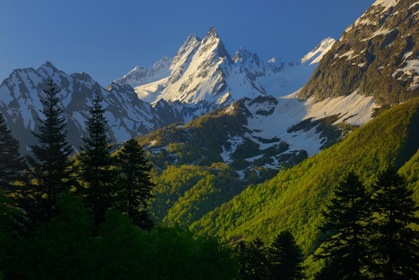 Morgen in den Bergen