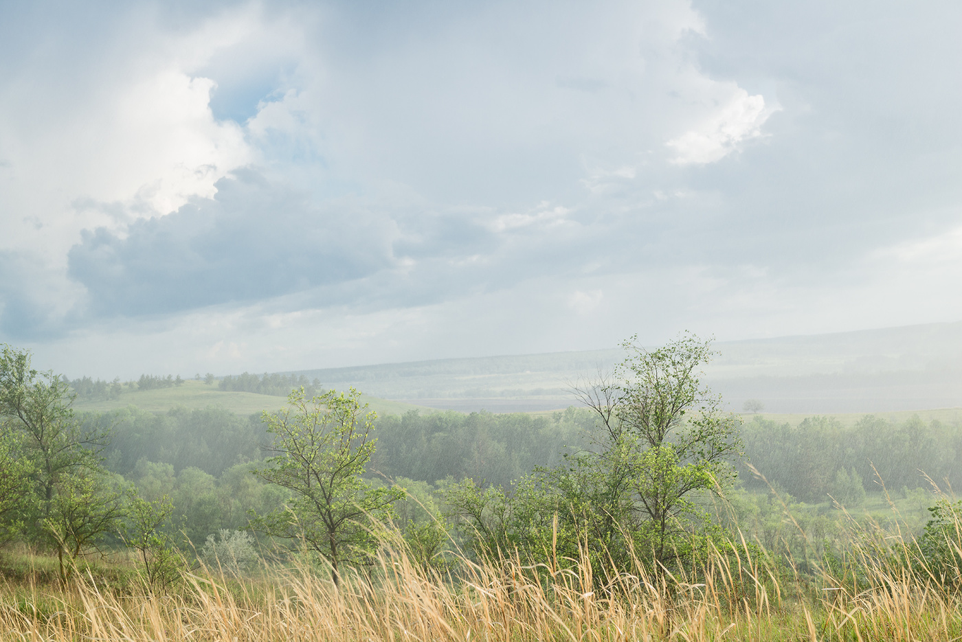 Verlassen des regen ...